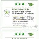 앤즈