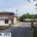 용산5리(무수막) Daum카페