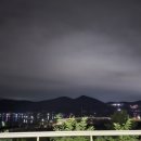 영진족발 이미지