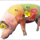소양인.. 이미지