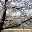 덕풍천 산책로 이미지