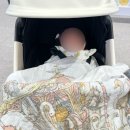 대사동로 | 미마 미로 오토폴딩 휴대용 유모차 선택 계기(내돈내산)