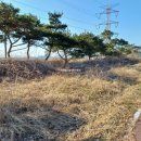대호만로2 네이버블로그