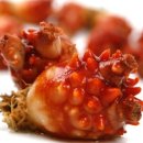 테헤란체리산부인과의원 이미지