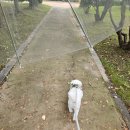 신원광주물류센타 | 전라광주 쿠팡 4센터 물류알바 신규 단기알바 후기