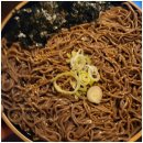 수원-0740 이미지