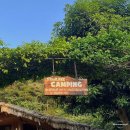 자연과호수 이미지