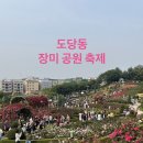 고읍제4근린공원 공중화장실 | 도당동 부천백만송이장미원 장미축제 다녀온 후기: 무조건 택시타세욥, 주차 정보