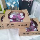 별빛플라워