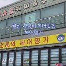 복어명가 이미지