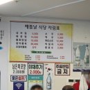 모리물산 | 울릉도 독도새우+오징어회 단돈 14만원! (만금물산·영신수산·해뜰날)