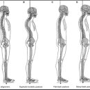 헤이데이짐 이미지