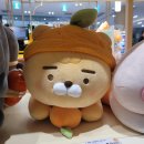 고다리조트 | 랜딩관 제주신화월드 호텔앤리조트 스페리어 킹 조식까지 숙소후기