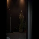 제주 돌담 펜션 | 제주도 민박 숙소 추천 제주독채펜션 돌담감성숙소 흐레 제주도 민박 숙소 추천, 편안한 휴식 공간