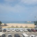 풍성횟집 | 삼척 풍성한 횟집 물회 먹고 온 후기