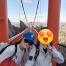 영암시장 | 영암 월출산 천황봉 등산후기 도갑사 주차장-억새밭-구정봉-천황봉-사자봉-구름다리-천황사