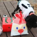 오지의 펫테이블 이미지