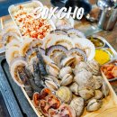 명품조개찜붉은대게 | 속초 조개구이 무한리필 말고 명품고기랑조개랑 체스터톤스 호텔 근처 맛집