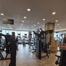 피트니스 209 | 답십리헬스장 힐피트니스 다녀온 솔직 후기