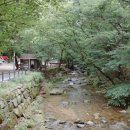 치인야영장 화장실 이미지