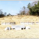 화순 예산사 티스토리
