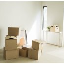 소이네일 이미지