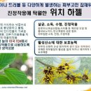 O2 테라피 이미지