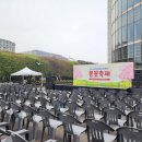 한군산업은행 본점에서 봄꽃축제 이미지