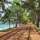 초곡민박 이미지