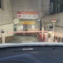 더뷰티이진영 | 대전헤어스트록, 둔산동헤스트록, 대전눈썹 잘하는 [블랙펄대전] 시술1주일 후기 (사진 많음주의!)
