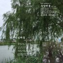 소월(素月)