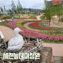 대구 근교 주말 나들이하기 좋은 곳 달성군 세천늪테마정원