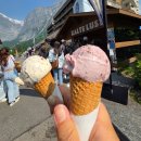 스위스 | 스위스 자유여행 후기 | 알프스 감성 그린델발트 피르스트