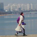 개나리길 이미지