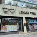 레몬트리안경콘택트(한일점) 이미지