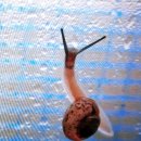 주정농장 이미지