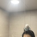 평화로운 이번주 일기