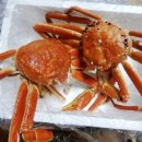 죽도회타운 이미지