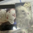 양정아속눈썹 | 가랑비가 눈에 스며드는 것도