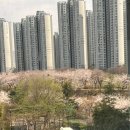 미노커피앤밥톡 이천점 | 바쁘다 바빠 사실 안바빠