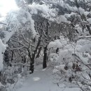 예산-01 이미지