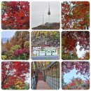 고운남측도서관 | 서울 단풍 명소, 누구나 편하게 즐길 수 있는 가을 단풍! 남산 하늘숲길로 떠나는 가을 여행!