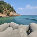 안인서브마린