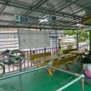 막줄래국시 이미지