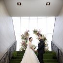 노원 테라리움서울 본식스냅 촬영, 린다스튜디오의 감성으로 담아낸 특별한 순간