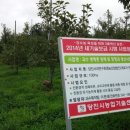 탐진농원 이미지