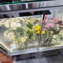 월영동206 이미지