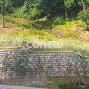 광교호수중학교 이미지