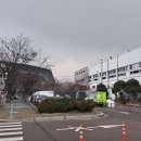 삼영농수산 Daum카페