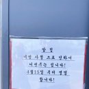 제주 곰막식당 고등어 회국수 맛집 후기(ft. 하트랜드 바다뷰 포토존)